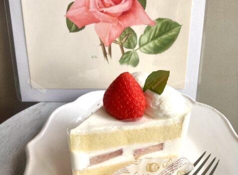 なぜかケーキでお祝い🍰?　