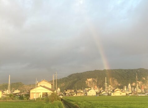朝さんぽ🌞