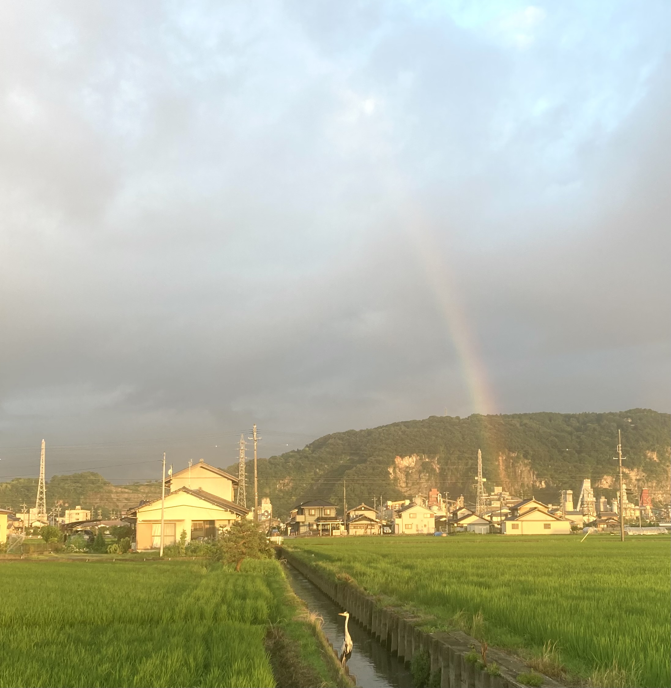 朝さんぽ🌞