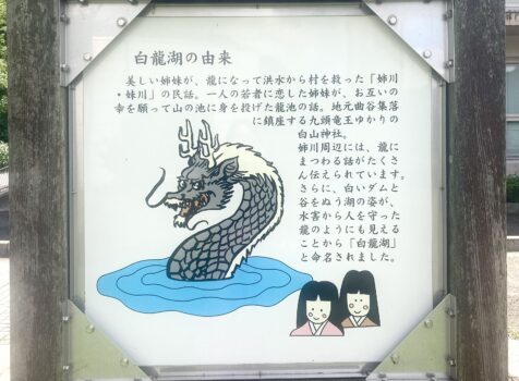 龍神様とドラゴンボール